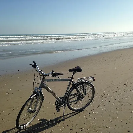 酒店 San Gottardo 里乔内